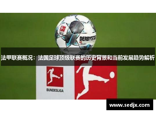 法甲联赛概况：法国足球顶级联赛的历史背景和当前发展趋势解析