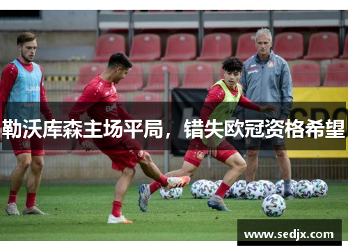 勒沃库森主场平局，错失欧冠资格希望