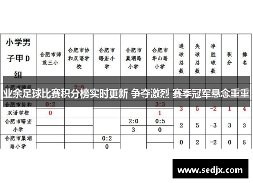 业余足球比赛积分榜实时更新 争夺激烈 赛季冠军悬念重重