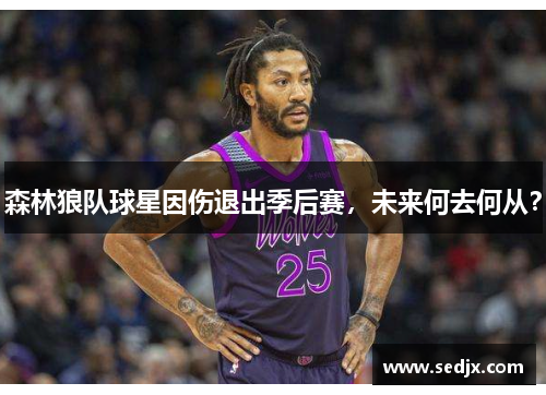 森林狼队球星因伤退出季后赛，未来何去何从？