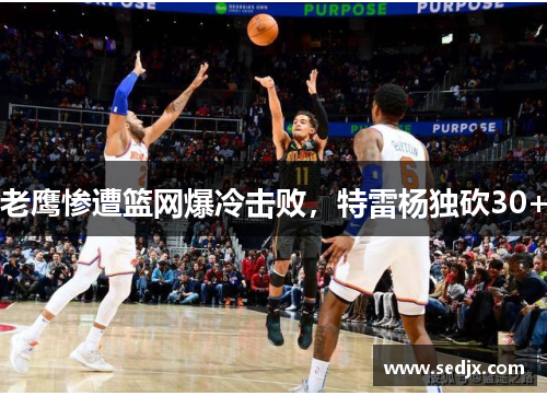 老鹰惨遭篮网爆冷击败，特雷杨独砍30+