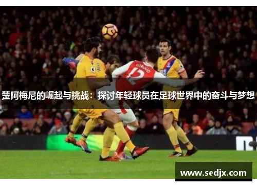 楚阿梅尼的崛起与挑战：探讨年轻球员在足球世界中的奋斗与梦想