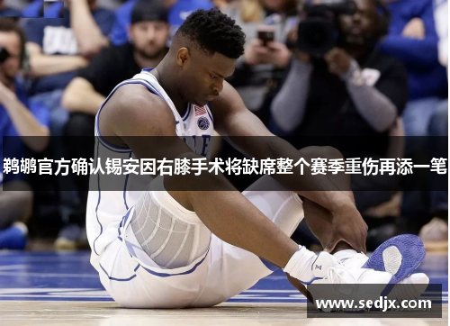 鹈鹕官方确认锡安因右膝手术将缺席整个赛季重伤再添一笔
