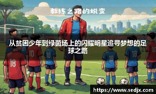 必一运动bsport体育